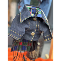Denim Jacket – Dancing Skeletons | TchDogWear