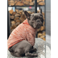 Knit Sweatshirt — tch dogwear