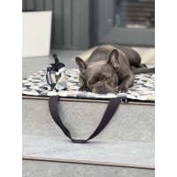 Transformer Dog Bag 80×60