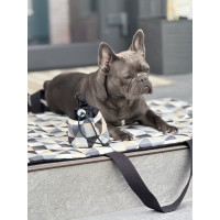 Transformer Dog Bag 80×60
