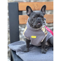 Dog Mat 60×60 cm