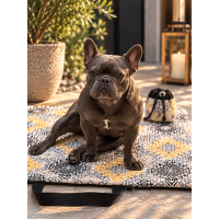 Transformer Dog Bag 80×60