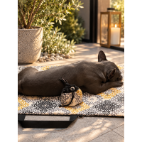 Transformer Dog Bag 80×60